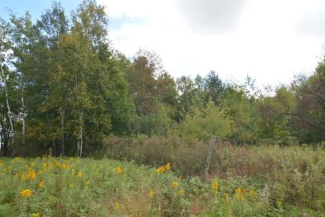 Tbd 130th Avenue Milaca MN 56353