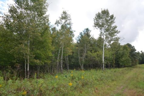 Tbd 130th Avenue Milaca MN 56353
