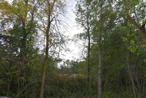 Tbd 130th Avenue Milaca MN 56353