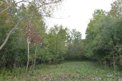Tbd 130th Avenue Milaca MN 56353