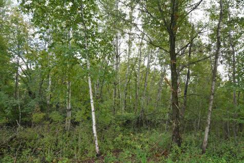 Tbd 130th Avenue Milaca MN 56353