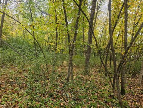 1077 S Shore Drive Detroit Lakes MN 56501