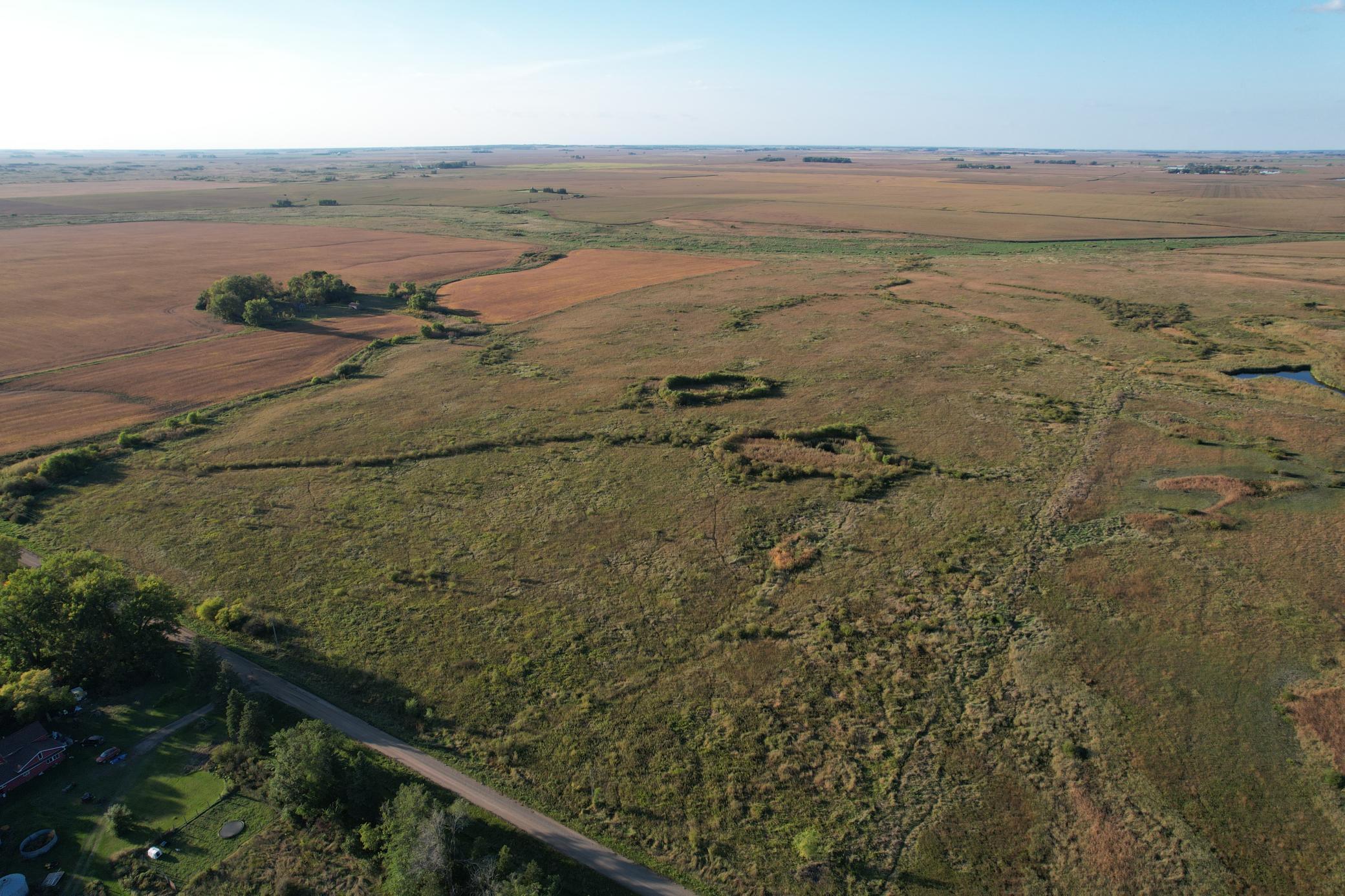 Tbd 340th Street Ogema MN 56569