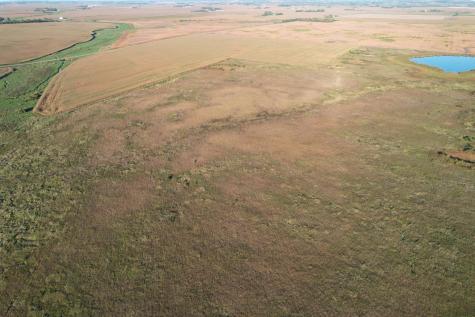 Tbd 340th Street Ogema MN 56569