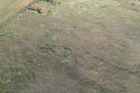 Tbd 340th Street Ogema MN 56569