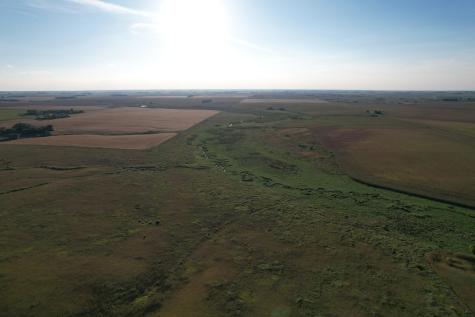 Tbd 340th Street Ogema MN 56569