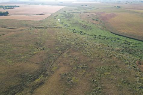 Tbd 340th Street Ogema MN 56569