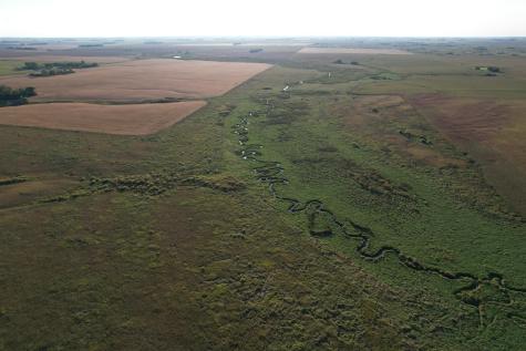 Tbd 340th Street Ogema MN 56569