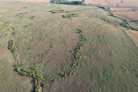 Tbd 340th Street Ogema MN 56569