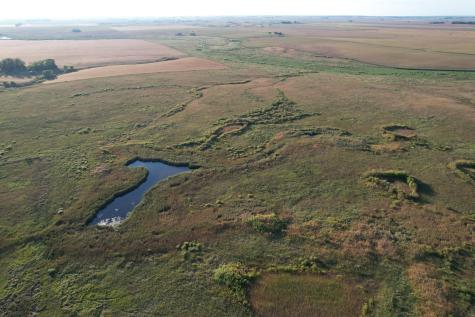 Tbd 340th Street Ogema MN 56569