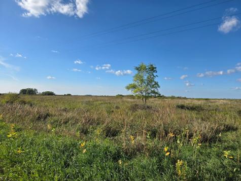 Tbd 340th Street Ogema MN 56569