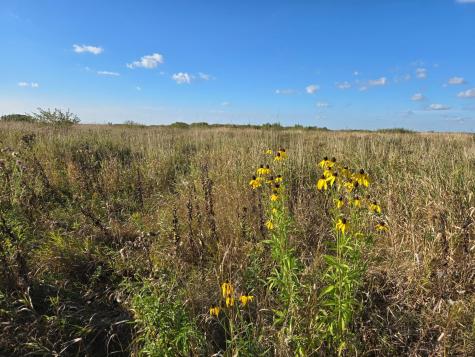Tbd 340th Street Ogema MN 56569