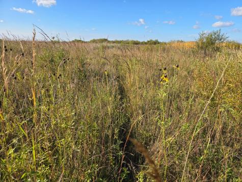 Tbd 340th Street Ogema MN 56569