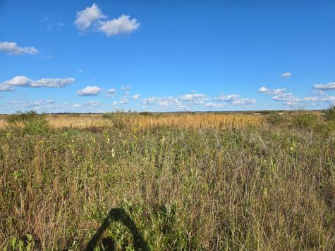 Tbd 340th Street Ogema MN 56569
