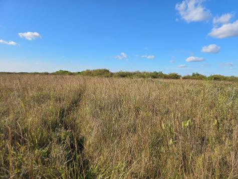 Tbd 340th Street Ogema MN 56569