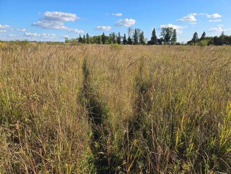 Tbd 340th Street Ogema MN 56569