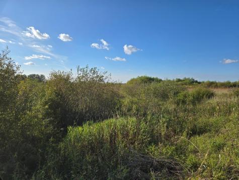 Tbd 340th Street Ogema MN 56569