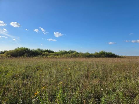 Tbd 340th Street Ogema MN 56569