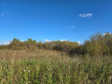 Tbd 340th Street Ogema MN 56569