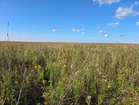 Tbd 340th Street Ogema MN 56569