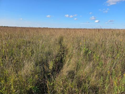 Tbd 340th Street Ogema MN 56569