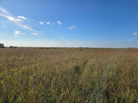 Tbd 340th Street Ogema MN 56569