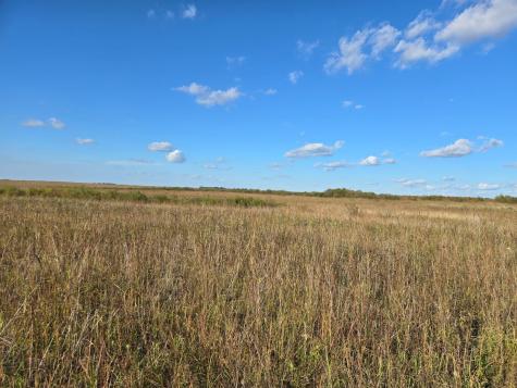 Tbd 340th Street Ogema MN 56569
