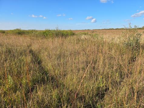 Tbd 340th Street Ogema MN 56569