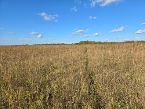 Tbd 340th Street Ogema MN 56569