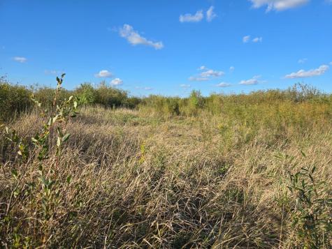 Tbd 340th Street Ogema MN 56569