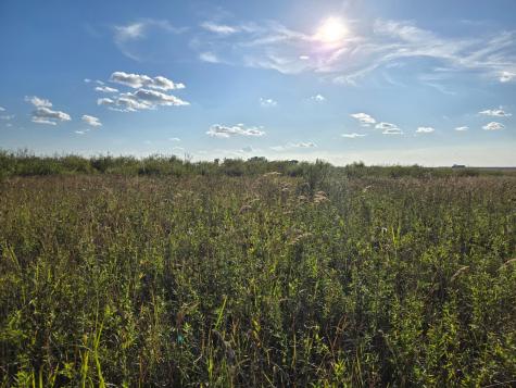 Tbd 340th Street Ogema MN 56569