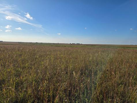 Tbd 340th Street Ogema MN 56569