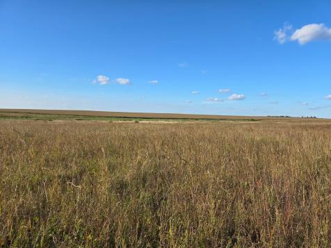 Tbd 340th Street Ogema MN 56569