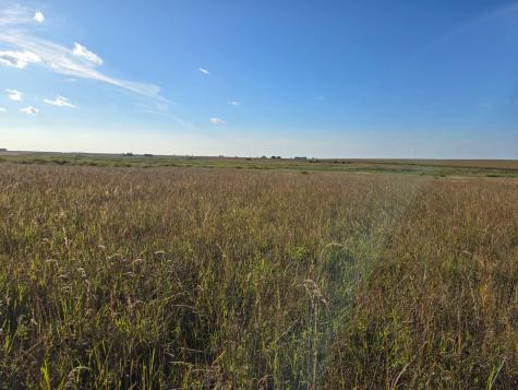 Tbd 340th Street Ogema MN 56569