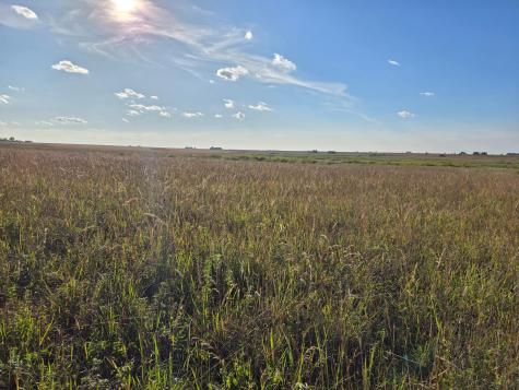 Tbd 340th Street Ogema MN 56569
