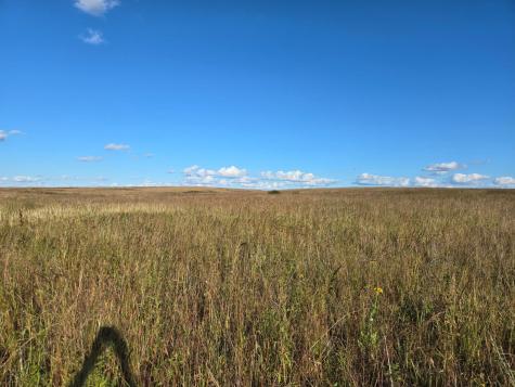 Tbd 340th Street Ogema MN 56569