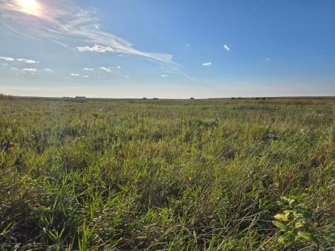 Tbd 340th Street Ogema MN 56569
