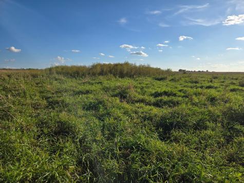 Tbd 340th Street Ogema MN 56569