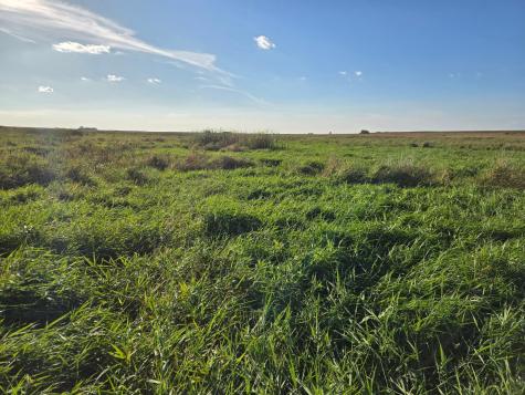 Tbd 340th Street Ogema MN 56569