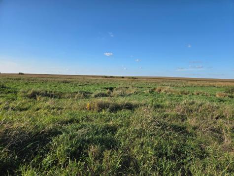 Tbd 340th Street Ogema MN 56569