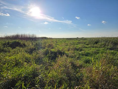 Tbd 340th Street Ogema MN 56569