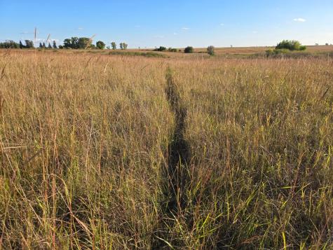 Tbd 340th Street Ogema MN 56569