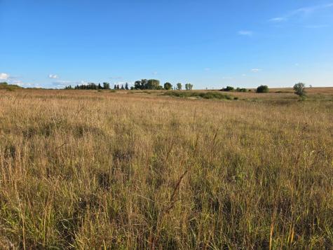 Tbd 340th Street Ogema MN 56569