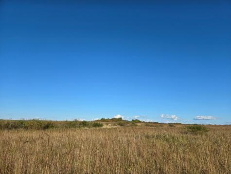 Tbd 340th Street Ogema MN 56569