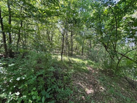 49137 360th Street New York Mills MN 56567