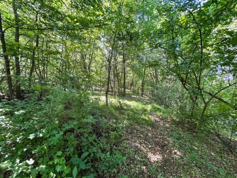 49137 360th Street New York Mills MN 56567
