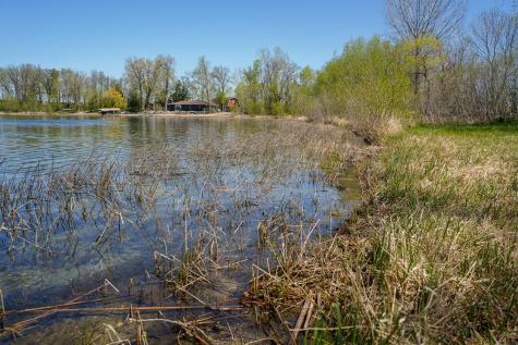 Tbd 125th Street Dalton MN 56324