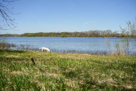 Tbd 125th Street Dalton MN 56324