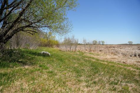 Tbd 125th Street Dalton MN 56324