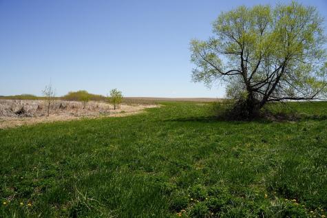 Tbd 125th Street Dalton MN 56324